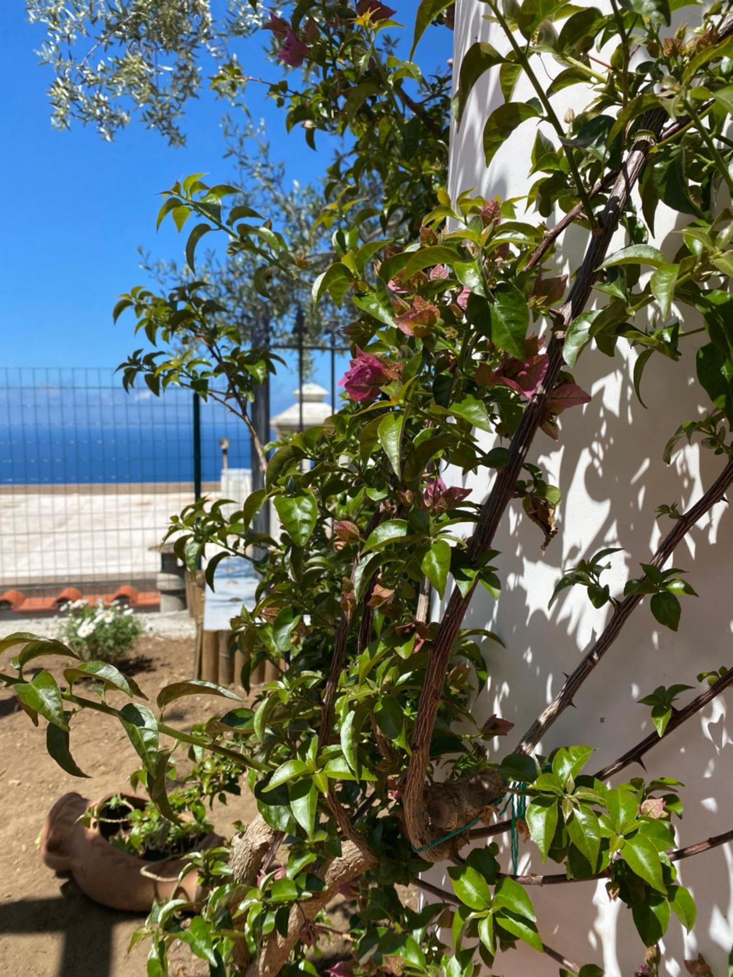 B&B La Ciammurrella Anacapri  Ngoại thất bức ảnh